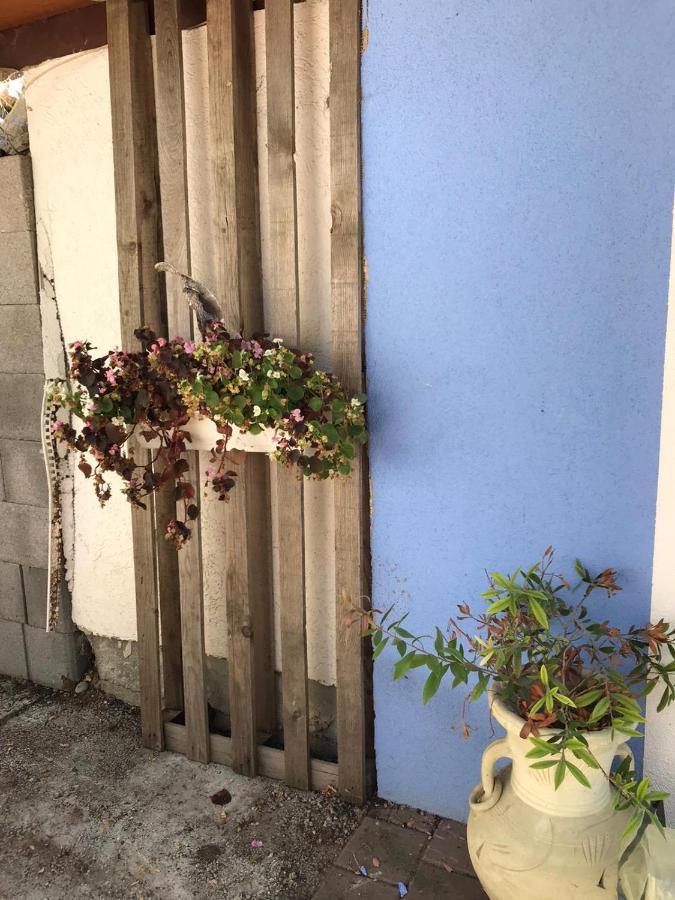 Ferienwohnung Auf Der Blue Ranch إنجين المظهر الخارجي الصورة
