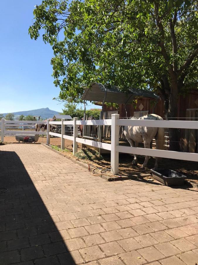 Ferienwohnung Auf Der Blue Ranch إنجين المظهر الخارجي الصورة